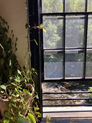 Beautiful windowsill looking out into the woods and streams