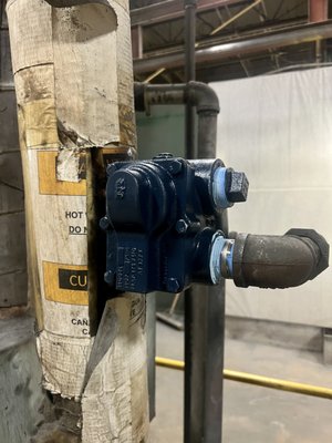 New Armstrong steam trap replacement