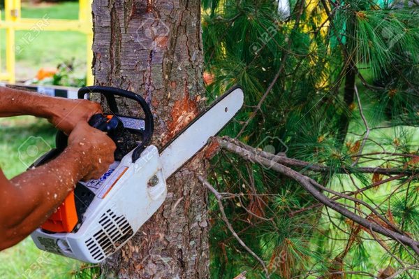 Valid Impressions Tree Service LLC