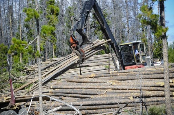 JB Logging & Firewood