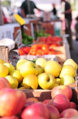 Apple season is here!