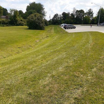 Basic mowing, and ditch trimming