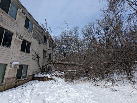 Removal of storm damage, the tree was through widows and on the roof at Manitou Ridge Apartments in White Bear Lake, MN April 2023