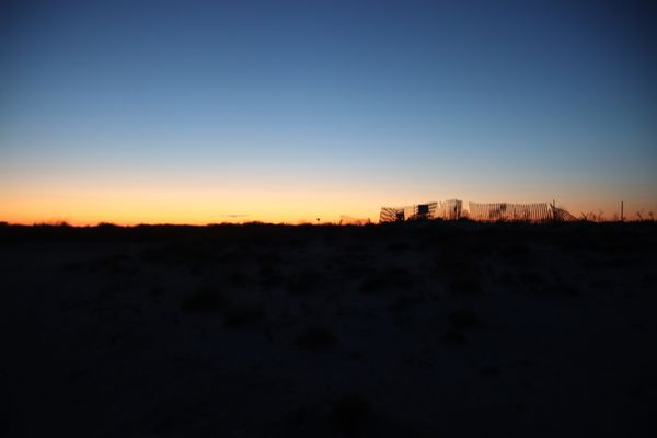 Evening silhouettes