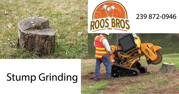 Stump Grinding