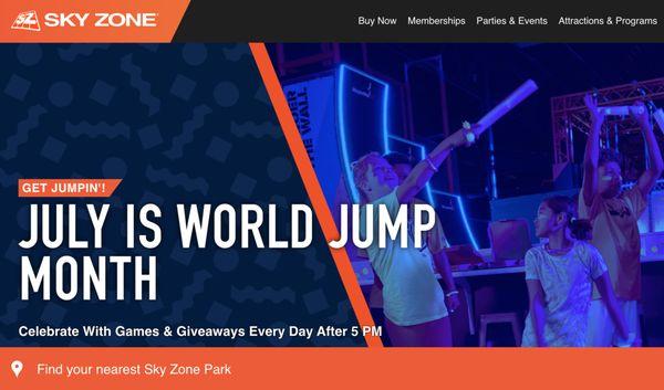 Sky Zone website