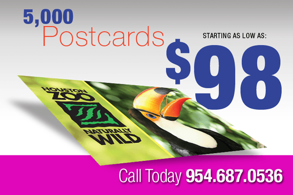 5000 4x6 Postcards Starting at $99