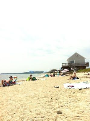 rocks and rocks and broken shells and rocks. not bad for laying out though