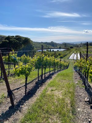 More views of the winery