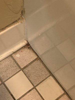 Bathroom floor