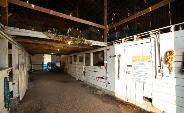 Stables Autism Program at Smoky Mountain Lodge