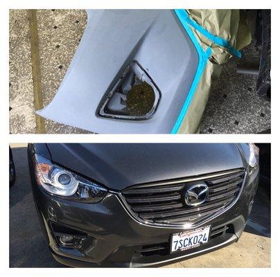 2016 Mazda was fixed at Euro Style auto collision center