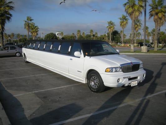 Take the whole family on a limousine trip!