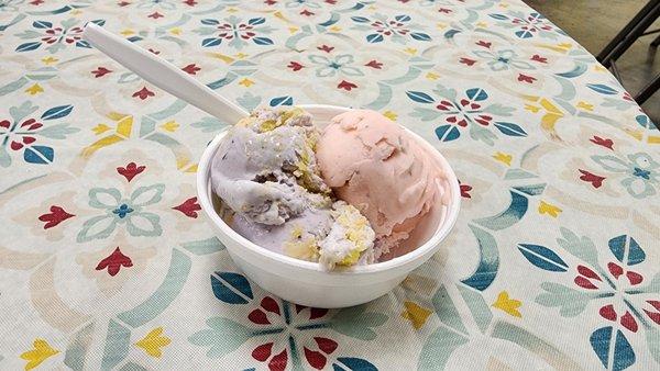 Unsweetened Strawberry & Blueberry Lemon Crunch Ice Cream