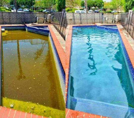 Speedy Pool Maintenance and Services