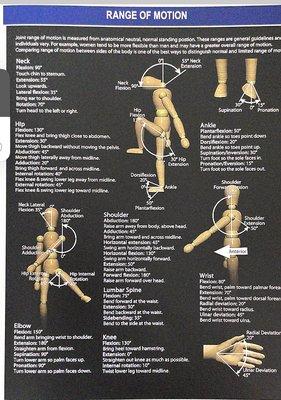 Muscle Therapy By Esmeralda