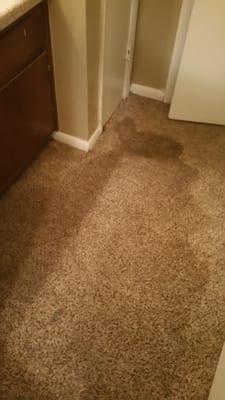 Apartment flooded so much the bathroom carpet is stained.