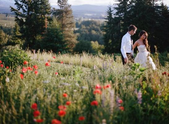 all the beautiful flowers and plants