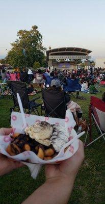 DDs Mini Donuts were at the free summer concert with No Duh