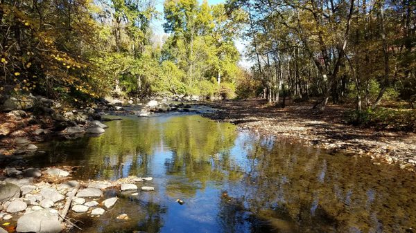 Clean water, shallow enough for the dogs to enjoy safely.