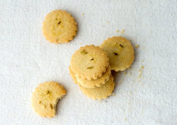 Wee Fennel & Anise Shortbread Bites