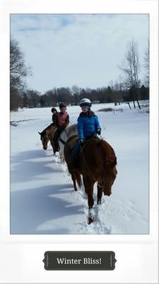 The Riding Stable