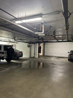 This is not the only puddle in the garage it poured water for days before they even cared to look at it.