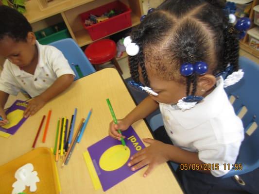 Fine Motor Development
  Shape Recognition