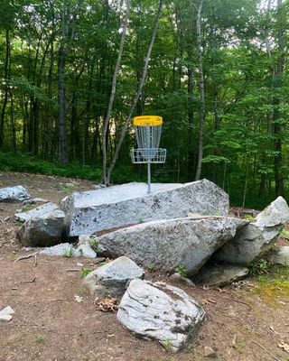 Hole 3 basket!