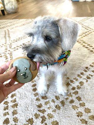 Enjoying his cookie