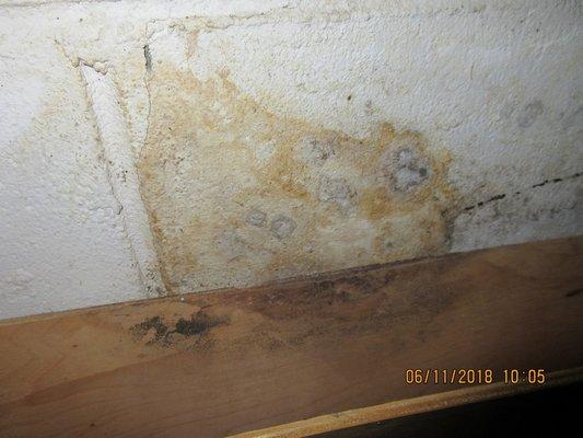 Water intrusion can lead to mold growth and possible structural damage