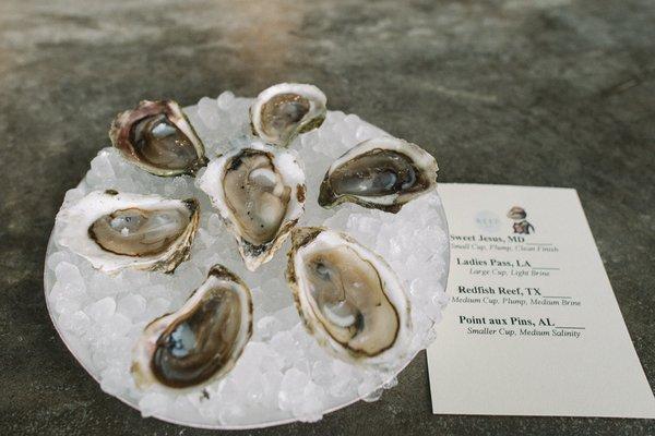 Fresh Gulf Oysters on the half shell rotate daily.