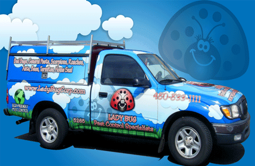 Lady Bug Pest Control Specialists