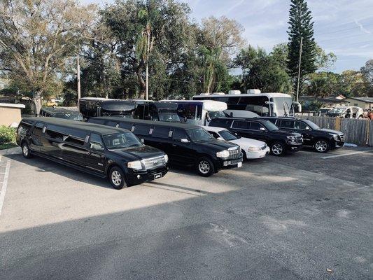 This is our extensive fleet of Party Vehicles. Give us a call to Book now.