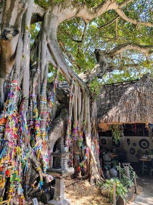 The Bodhi Wishtree