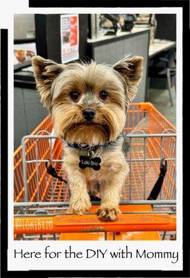 The Home Depot