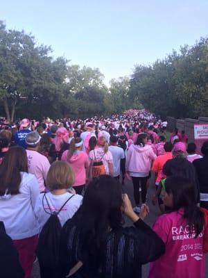 Love supporting a great cause and the Dallas Susan G Koman 5K!