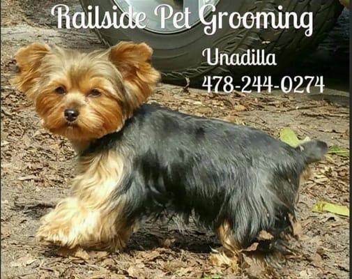 Railside Pet Grooming