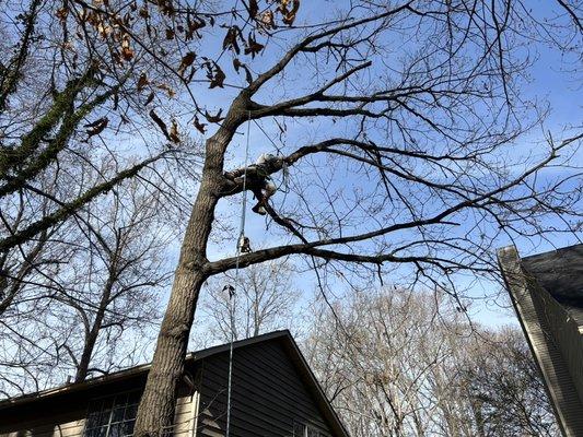 Removing limbs over a roof