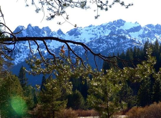 Bassetts Meadow and the Sierra Buttes