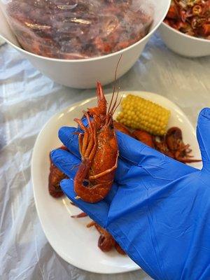 Live Boiled Crawfish