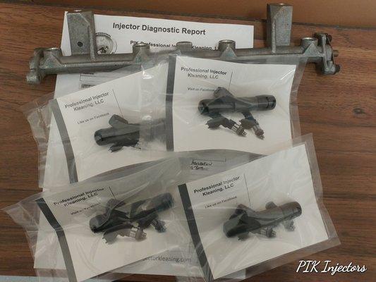 2004 Ford Focus Gas Injectors.