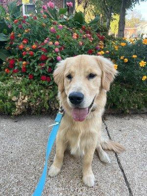 Luke loves to meet new people and help with their therapy goals!