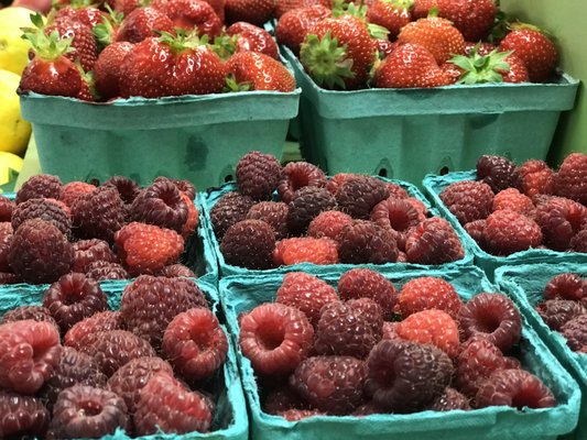 locally grown fresh berries