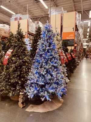 Blue.  Seahawks inspired Christmas tree.  Nice...