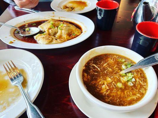 Hot and sour soup and wonton appetizer