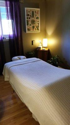 River Otter Healing Arts, Elisabeth Krieg, Licensed Massage & Bodywork Therapist, NC # 10562