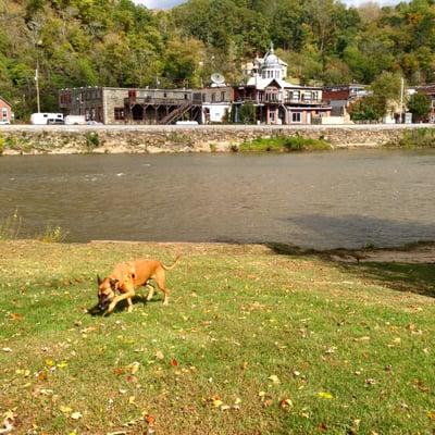 Town of Marshall NC from the park across the bridge (with Chop)