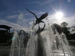 Fountain in front of UNF Arena.  Pix from website