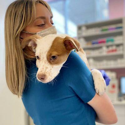 Hunny the mixed puppy loving Annie and Melissa at greenpoint